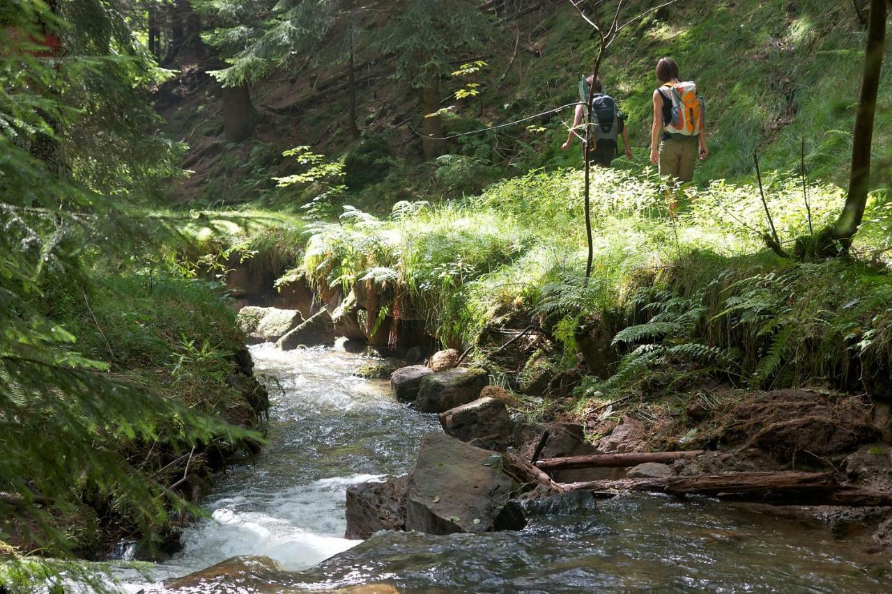 Ferienoase Hinterhermsdorf Εξωτερικό φωτογραφία